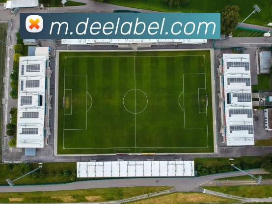 体育数据展示